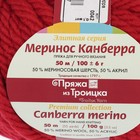 Пряжа "Меринос Канберра" 50% мерин.шерсть, 50% акрил 50м/100гр (0042, красный) - Фото 3