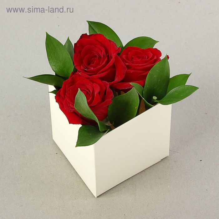 Подарочная коробка для цветов "Флербокс" кремовый, 10 х 10 х 10 см - Фото 1