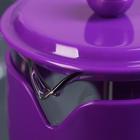 Чайник заварочный френч - пресс Доляна «Комплимент», 800 мл, стекло, цвет фиолетовый - Фото 2