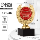 Кубок «Лучший воспитатель детского сада», наградная фигура, пластик, золото, 13×8×5 см - Фото 1