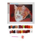 Алмазная вышивка с частичным заполнением "Рыжий кот", 40 х 30 см - Фото 4