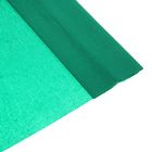 Бумага крепированная, 50х250 см, 32 г/м, зелёная, в рулоне, «Школа талантов», (80-10) - Фото 1