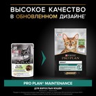 Влажный корм PRO PLAN для кошек, ягненок в желе, 85 г - Фото 2