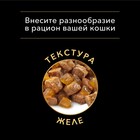 Влажный корм PRO PLAN для кошек, ягненок в желе, 85 г - Фото 8