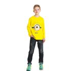 Джемпер для мальчика "Миньоны ", рост 104 см (60), цвет желтый ZB 03138_Д - Фото 1