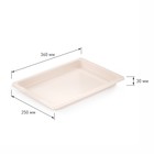 Подносы для заморозки пельменей Альтернатива, пластик, 35.5×25×5.5 см, набор 3 шт., МИКС - Фото 9