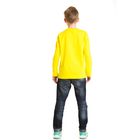 Джемпер для мальчика "Миньоны ", рост 116 см (64), цвет желтый ZB 03138_Д - Фото 2