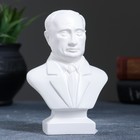 Бюст Путин малый белый, 5х8х13см - Фото 1