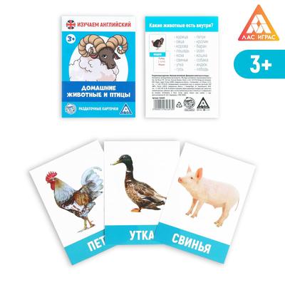 Обучающие карточки «Изучаем английский. Домашние животные и птицы», 16 штук, 3+