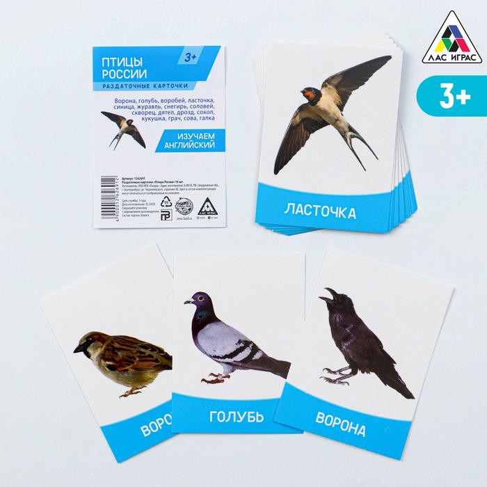 Обучающие карточки «Изучаем английский. Птицы России», 16 штук, 3+ - Фото 1