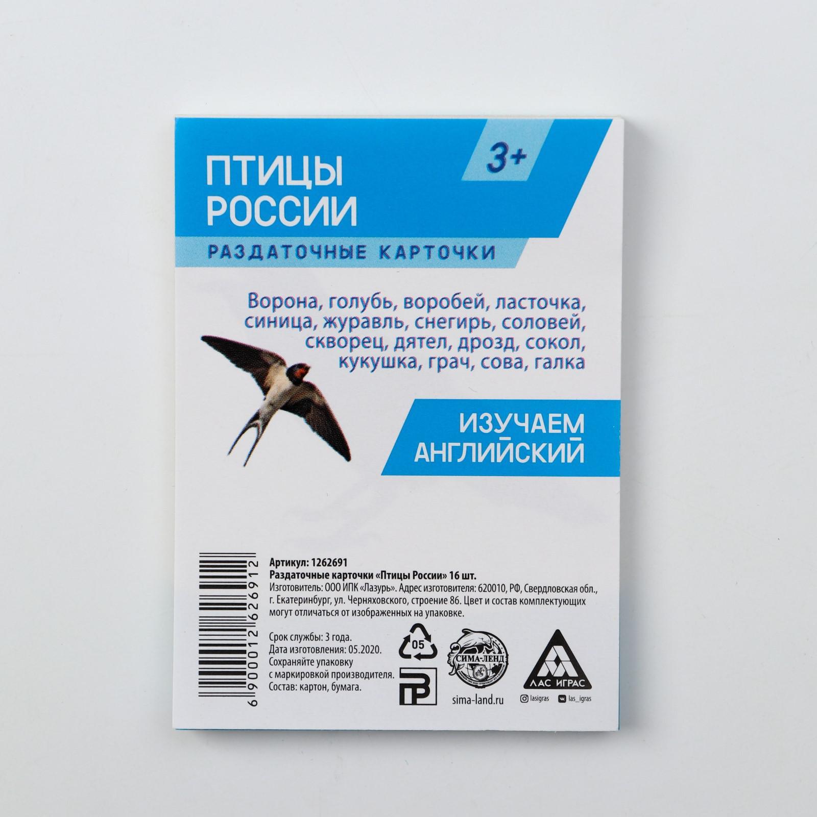 Обучающие карточки «Изучаем английский. Птицы России», 16 штук, 3+  (1262691) - Купить по цене от 21.40 руб. | Интернет магазин SIMA-LAND.RU