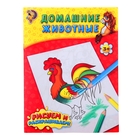 Раскраска детская «Домашние животные», 12 стр. - Фото 1