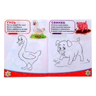 Раскраска детская «Домашние животные», 12 стр. - Фото 2