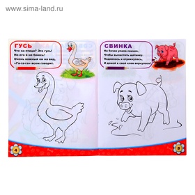 Раскраска детская «Домашние животные», 12 стр. (комплект 3 шт)