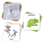 Настольная игра «Найди пятнышки», 40 карточек, 3+ - Фото 3