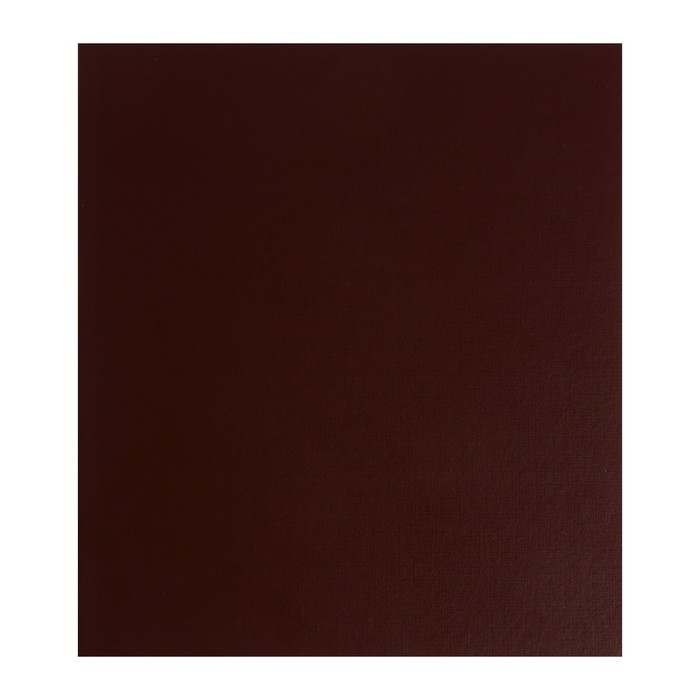Альбом для монет "Стандарт", 230 х 270 мм, Optima, без листов, коричневый - Фото 1