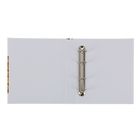 Альбом для монет "Современные монеты", 230 х 270 мм, Optima, без листов - Фото 2