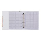 Альбом для монет «Современные монеты. Optima», 230×270 мм, 10 скользящих листов - Фото 4