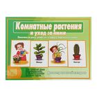 Настольная игра «Комнатные растения и уход за ними» 1310888 - фото 10844706