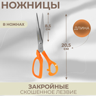 Ножницы универсальные, скошенное лезвие, в ножнах, 8", 20,5 см, цвет МИКС - фото 3603630