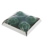 Губка флористическая "Виктория", самоклеящаяся основа, малая 8 х 4 см - Фото 2