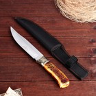 Нож охотничий "Бьёрг" 27,5см, клинок 157мм/3,6мм, с рисунком - Фото 2