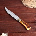 Нож охотничий "Бьёрг" 27,5см, клинок 157мм/3,6мм, с рисунком - Фото 3