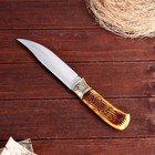 Нож охотничий "Бьёрг" 27,5см, клинок 157мм/3,6мм, с рисунком - Фото 4