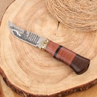 Нож охотничий «Таёжник», 23 см, клинок 112 мм/2.8 мм, дерево, с гравировкой - фото 65295795