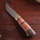 Нож охотничий "Таежник" 23 см, клинок 112мм/2,8мм, дерево, с гравировкой - Фото 3