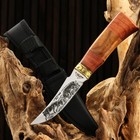 Нож охотничий "Схватка", 22см, клинок 112мм/2,8мм, дерево, с гравировкой - фото 317894504