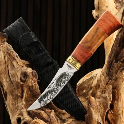 Нож охотничий "Схватка", 22см, клинок 112мм/2,8мм, дерево, с гравировкой, микс