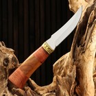 Нож охотничий "Схватка", 22см, клинок 112мм/2,8мм, дерево, с гравировкой - Фото 2