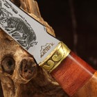 Нож охотничий "Схватка", 22см, клинок 112мм/2,8мм, дерево, с гравировкой, микс - Фото 3