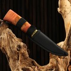 Нож охотничий "Схватка", 22см, клинок 112мм/2,8мм, дерево, с гравировкой, микс - Фото 4