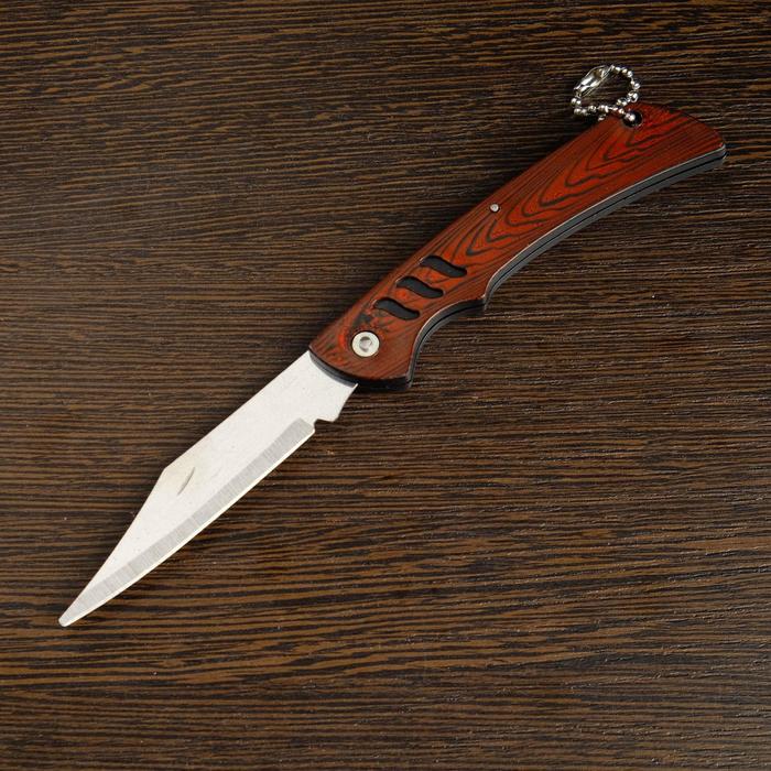 Нож перочинный "Мангуст" 17,2см, клинок 79мм/1,2мм, коричневый - фото 1908263947