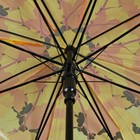 Зонт - трость полуавтоматический «Листопад», 8 спиц, R = 42,5 см, цвет жёлтый - Фото 3