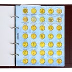 Альбом для монет "Стандарт. Юбилейные 10-ти рублевые монеты России", 230 х 270 мм, Optima, коричневый - Фото 12