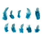 Набор перьев для декора 10 шт., размер 1 шт: 5 × 2 см, цвет бирюзовый с чёрным - фото 8449266