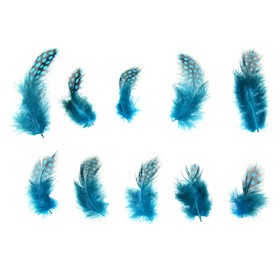 Набор перьев для декора 10 шт., размер 1 шт: 5 × 2 см, цвет бирюзовый с чёрным Ош