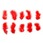 Набор перьев для декора 10 шт., размер 1 шт: 10 × 2 см, цвет красный - фото 8270862
