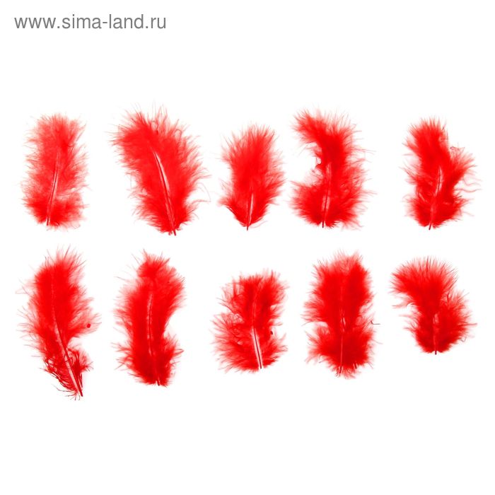 Набор перьев для декора 10 шт., размер 1 шт: 10 × 2 см, цвет красный - Фото 1