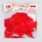 Набор перьев для декора 10 шт., размер 1 шт.: 10×2 см, красный - Фото 3