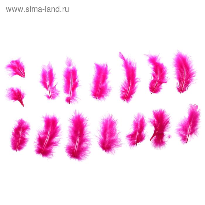 Набор перьев для декора 10 шт., размер 1 шт: 10 × 2 см, цвет ярко розовый - Фото 1