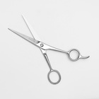 Ножницы парикмахерские с упором, лезвие — 6,5 см, цвет серебристый - фото 8270931