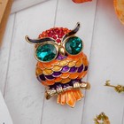 Брошь «Сова», цветная в золоте - Фото 1