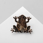Брошь «Лягушка» цвет МИКС - Фото 2