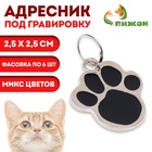 Адресник под гравировку «Лапа», 2.5×2.5 см, фасовка по 6 шт., металл, цвет МИКС - Фото 1