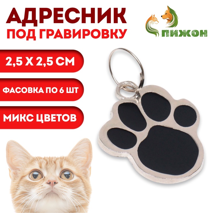 Адресник под гравировку «Лапа», 2.5×2.5 см, фасовка по 6 шт., металл, цвет МИКС - Фото 1