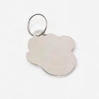 Адресник под гравировку «Лапа», 2.5×2.5 см, фасовка по 6 шт., металл, цвет МИКС - Фото 3